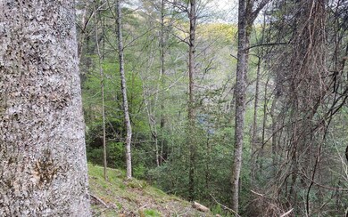 0 Rock Creek Cir unit 320900, Blue Ridge, GA 30513 - photo 5