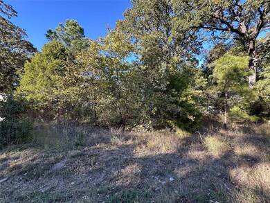 134 Thrush Rd, Mabank, TX 75156 - photo 4