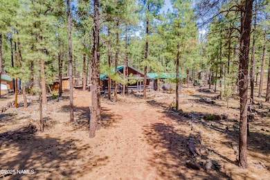 7621 E Jolly Rogue Ln, Williams, AZ 86046 - photo 3