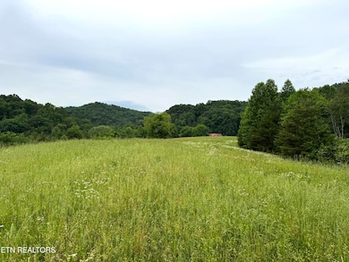 0 Licklog Hollow Rd, Sevierville, TN 37876 - photo 7