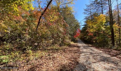 River View Fall95