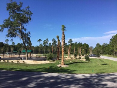 Bear Creek 2
