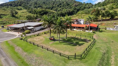 0 Hacienda Cascada unit MFRPR9111722, Aguas Buenas, PR 00703 - photo 5