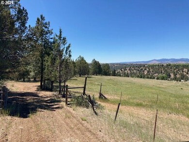 60746 Marysville Ln, Canyon City, OR 97820 - photo 4