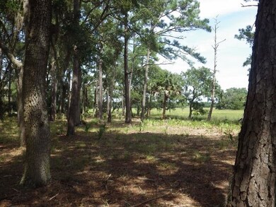 IMGP0012 (640x480)