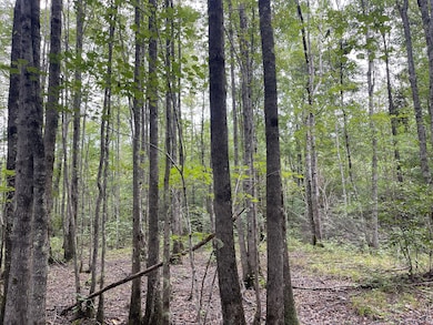 0 Western Front Rd, Gu-Win, AL 35563 - photo 2