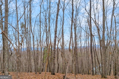 0 Douglas Fir Dr unit 10450306, Cleveland, GA 30528 - photo 4