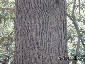 Not forested for 50 + years!