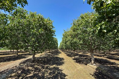 2025-04-28-Schuil-Farms-for-sale-Hanford