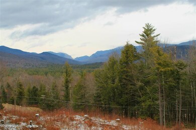 36 Partridge Dr, Woodstock, NH 03262 - photo 5