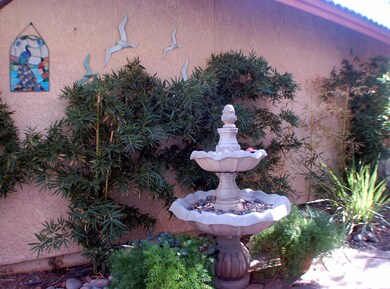 Side yard