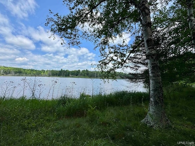 289 Wright Rd, Crystal Falls, MI 49920 - photo 2