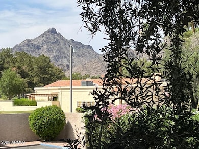 Patio View