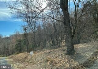 Tract B Ewing Dr, Baker, WV 26801 - photo 3