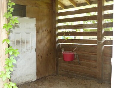 REAR OF THE HOUSE AND BACK YARD