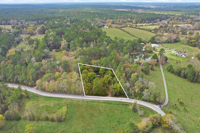 55 Dipping Vat Rd, New Waverly, TX 77358 - photo 3