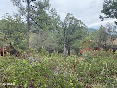 186 N Trails End Dr unit 186, Pine, AZ 85544 - photo 4