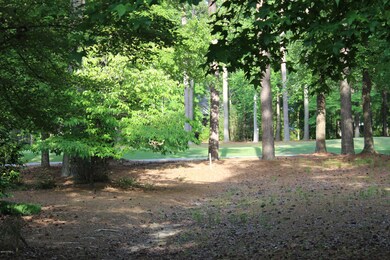 Shaded backyard
