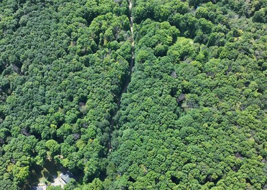 DJI_20240728085830_0383_D