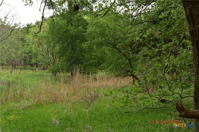 Lot 16