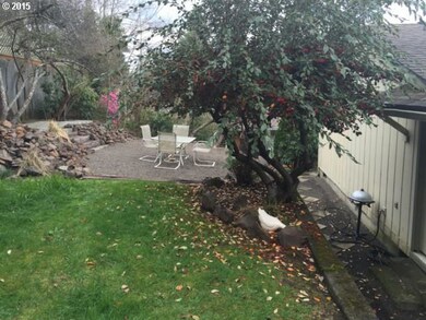back yard