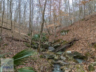 0 Dennis Creek Rd unit 158990, Talbotton, GA 31827 - photo 7