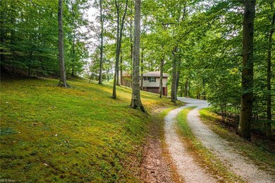 Nestled in the trees