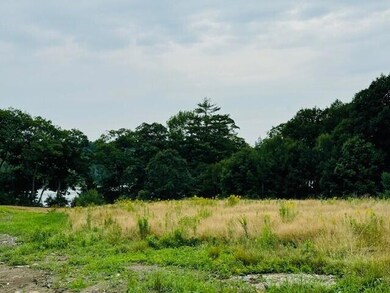 Meadow 1