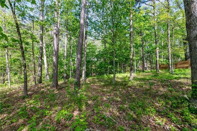 Lot 27 Ashby Ln, Bella Vista, AR 72714 - photo 5