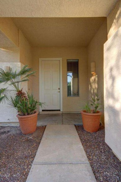 0050-OcotilloExt (5)