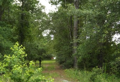 1199 Old Highway 6, Cross, SC 29436 - photo 4