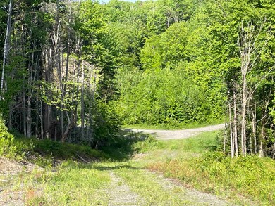 72 Meadow View Dr unit 32, Pittsburg, NH 03592 - photo 7