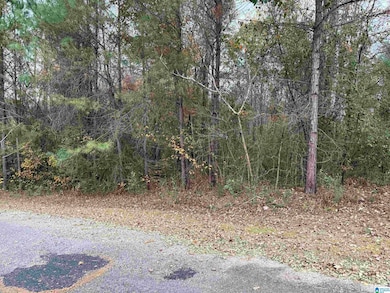 1 Springs Cove Rd, Warrior, AL 35180 - photo 4