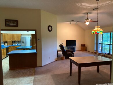 11121 Donkey Flat, Helotes, TX 78023 - photo 4