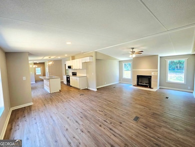 65 Davis School Rd, Martin, GA 30557 - photo 6