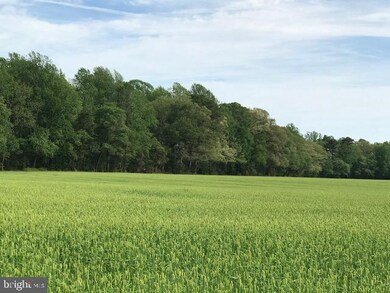 Lot 2 Church Hill Rd unit 2, Milford, DE 19963 - photo 6