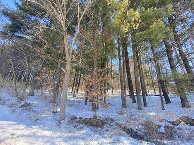 Lot 17 Pine Tree Rd, Jordan, WI 53566 - photo 6