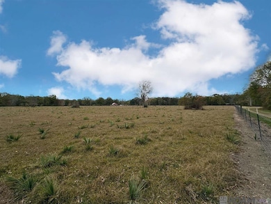 45538 Doc Ln, Saint Amant, LA 70774 - photo 2