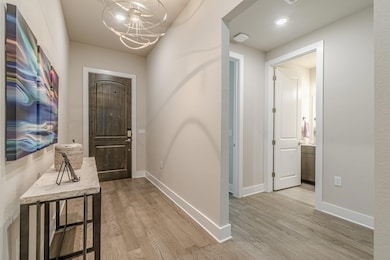 433 Skipping Cedar St, San Marcos, TX 78666 - photo 3