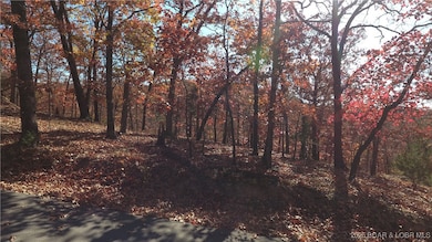 Lot 64 Dennison Dr, Osage Township, MO 65052 - photo 4