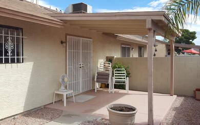 Back Patio20161002_111931
