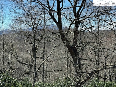 TBD Shulls Mill Rd, Blowing Rock, NC 28605 - photo 7