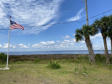 xxx Gator Trail, Other Florida, FL 32327 - photo 7