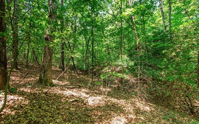 Additional View