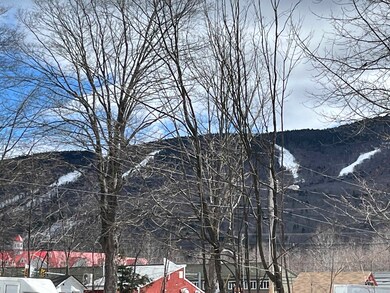 17 Franklin St, Lincoln, NH 03251 - photo 4