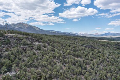 DJI_0113