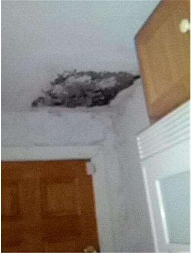 1013 W 8th St, Wilmington, DE 19806 - photo 7