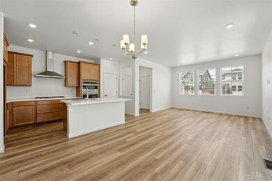 2079 Generations Alley, Brighton, CO 80601 - photo 3