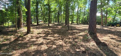 Lot 1 Swan Point Rd, River Road, NC 27889 - photo 2
