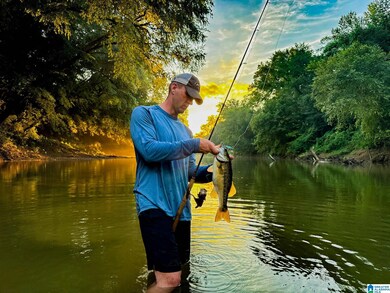 NoBusinessCreek Phillips Ln, Empire, AL 35063 - photo 6